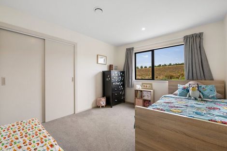 Photo of property in 45 Stella Way, Waikerikeri, Alexandra, 9391