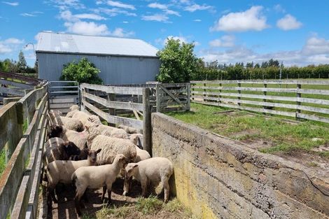 Photo of property in 15 Victoria Street, Oxford, 7430