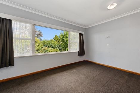Photo of property in 41a Clarkin Road, Fairfield, Hamilton, 3214