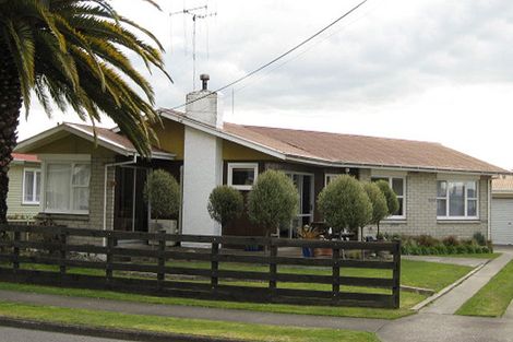Photo of property in 17 Wilder Street, Waipukurau, 4200