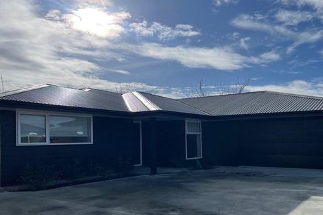 Photo of property in 117 Limbrick Street, Terrace End, Palmerston North, 4410