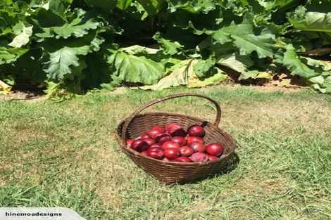 Photo of property in 60 Hinemoa Avenue, Taupo, 3330