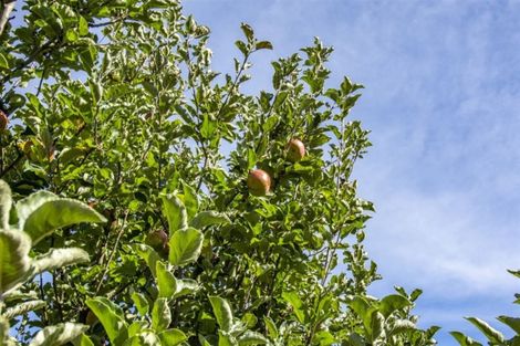 Photo of property in 345 Waihi Road, Brookfield, Tauranga, 3110