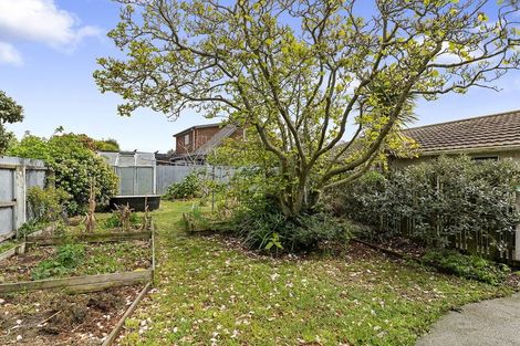 Photo of property in 13 Market Street, Leeston, 7632