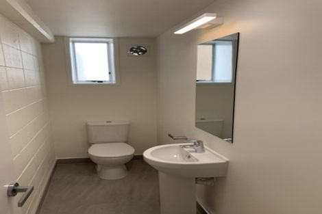 Photo of property in 2 Couldry Street, Eden Terrace, Auckland, 1021