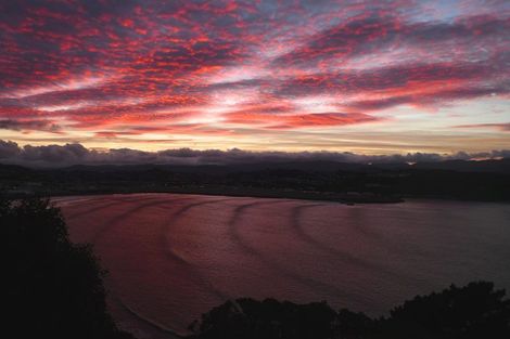 Photo of property in 57 View Road, Houghton Bay, Wellington, 6023