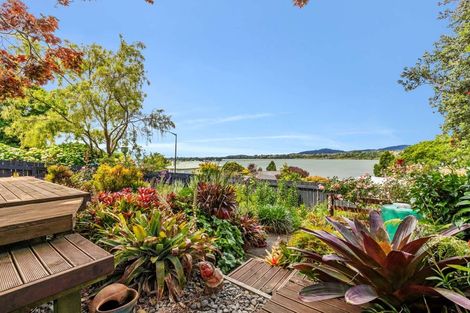 Photo of property in 53 Hampton Terrace, Parkvale, Tauranga, 3112