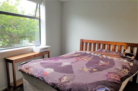 Photo of property in Detroit Apartments, 212/181 Tasman Street, Mount Cook, Wellington, 6021