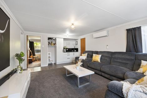 Photo of property in 38 Heatley Avenue, Hokowhitu, Palmerston North, 4410