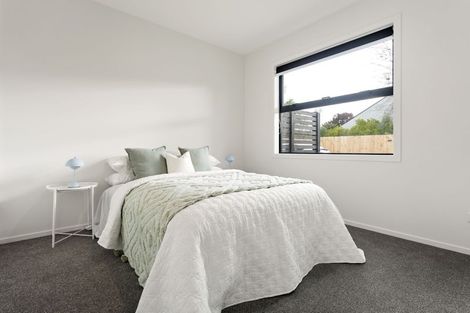 Photo of property in 123a Endeavour Avenue, Flagstaff, Hamilton, 3210