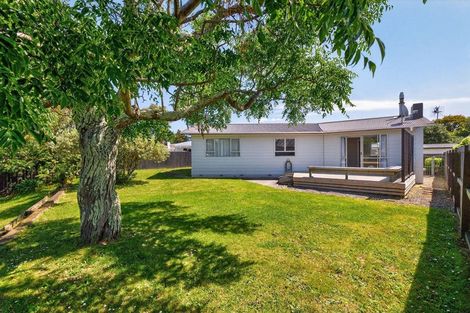 Photo of property in 33 Leicester Street, Terrace End, Palmerston North, 4410