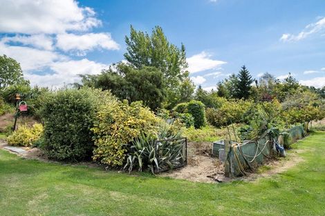 Photo of property in 41-43 Mull Street, Palmerston, 9430