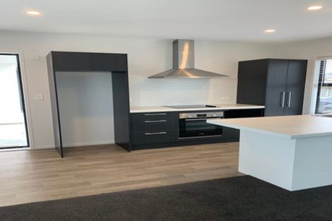 Photo of property in 9d Martin Street, Fairfield, Hamilton, 3214