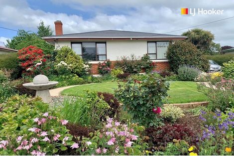 Photo of property in 17 Lorne Street, Mosgiel, 9024