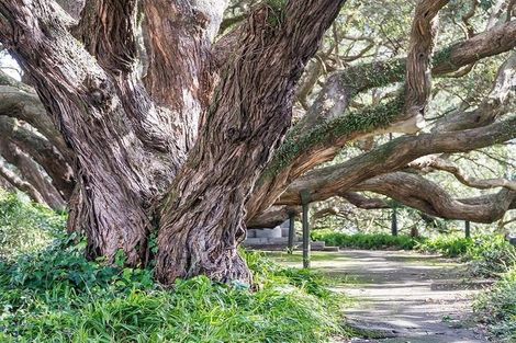 Photo of property in Argent Hall Apartments, C/2 Eden Crescent, Auckland Central, Auckland, 1010