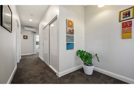 Photo of property in 307 Ashgrove Terrace, Somerfield, Christchurch, 8024