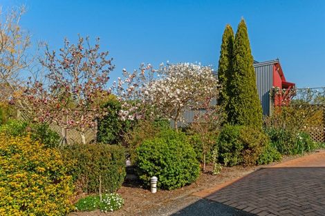 Photo of property in 26 Cameron Road, Makauri, Gisborne, 4071