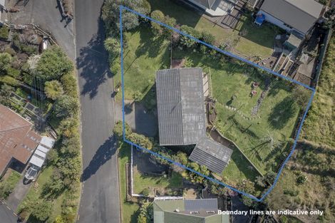 Photo of property in 100 Mill Street, Thames, 3500