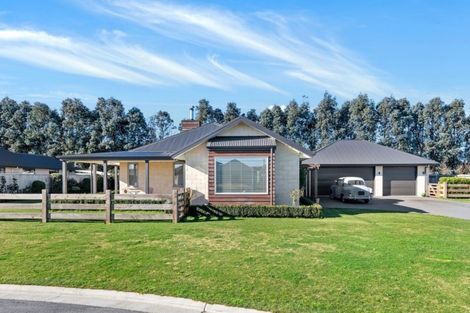 Photo of property in 14 New Creek Mews, Rolleston, 7614