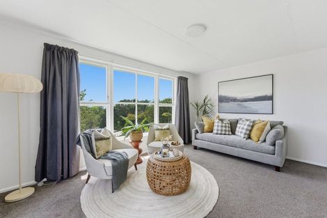 Photo of property in 19 Pukeori Street, Marfell, New Plymouth, 4310