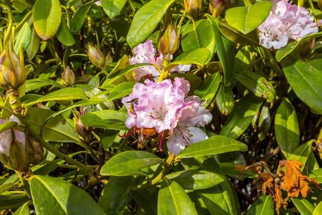 Photo of property in 1/627 Fergusson Drive, Trentham, Upper Hutt, 5018