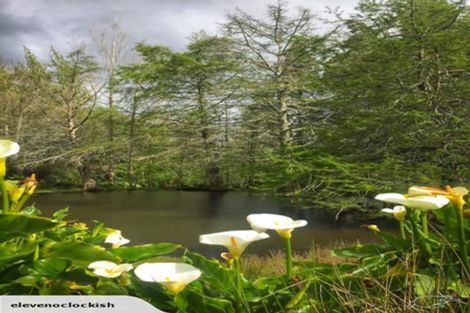 Photo of property in 1610 Cambridge Road, Te Awamutu, 3800