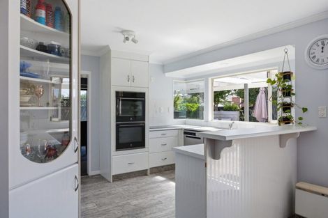 Photo of property in 51 Bayfair Drive, Mount Maunganui, 3116