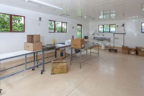 Photo of property in 7 Harding Road, Wellsford, 0972