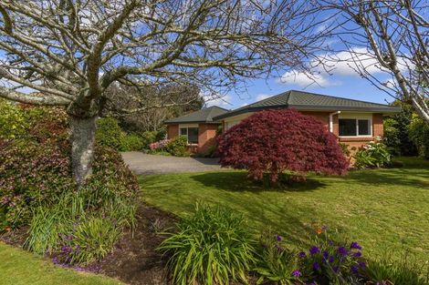 Photo of property in 1 Links View Drive, Omokoroa, 3114