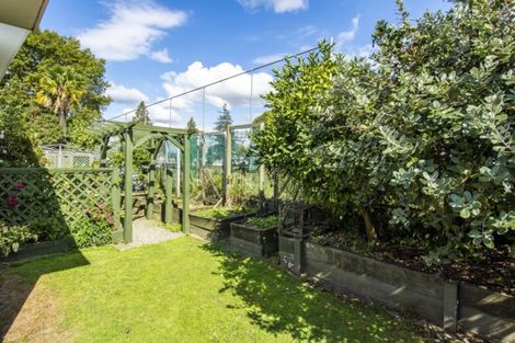 Photo of property in 3/126 Fourteenth Avenue, Tauranga South, Tauranga, 3112