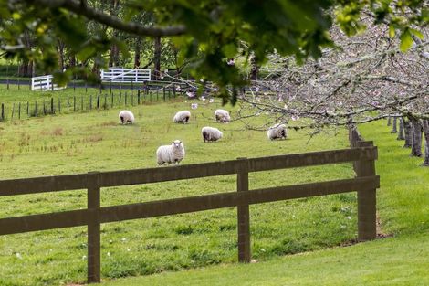 Photo of property in 725 Woodcocks Road, Kaipara Flats, Warkworth, 0981
