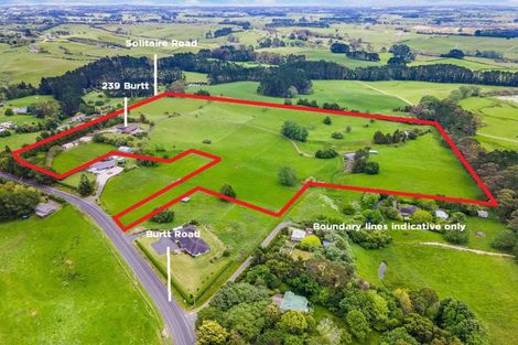 Photo of property in 239 Burtt Road, Paerata, Drury, 2578