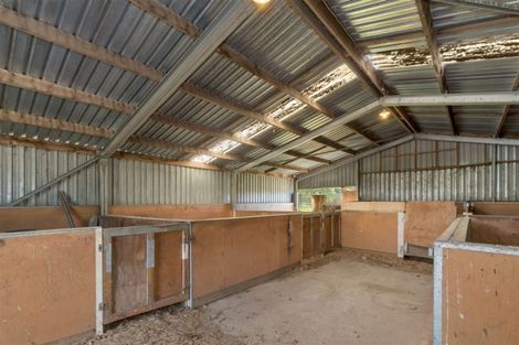 Photo of property in 277 Marshmans Road, Ashley, Rangiora, 7477