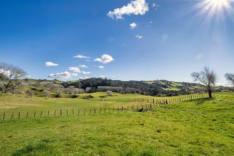 Photo of property in 164c Crawford Road, Wairoa, Tauranga, 3171