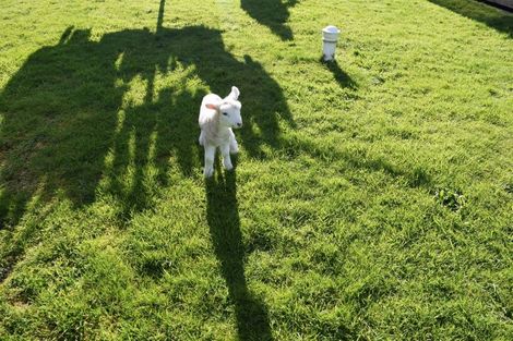 Photo of property in 2b Takutai Road, Ruatapu, Hokitika, 7883