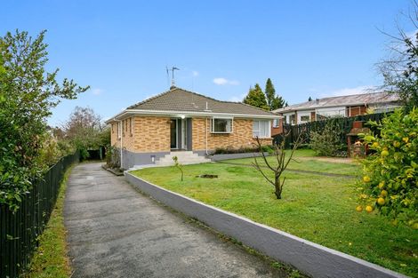 Photo of property in 135 Tirau Street, Putaruru, 3411