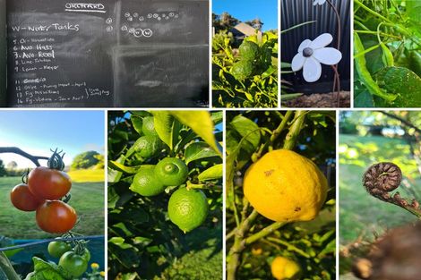 Photo of property in 724b Ruapuke Road, Raglan, 3296