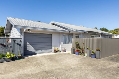 Photo of property in 87b Wellesley Road, Napier South, Napier, 4110