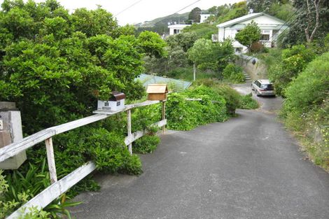 Photo of property in 21 Priscilla Crescent, Mornington, Wellington, 6021