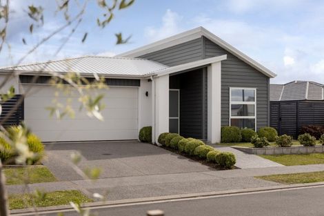 Photo of property in 24 Knightia Drive, Papamoa Beach, Papamoa, 3118