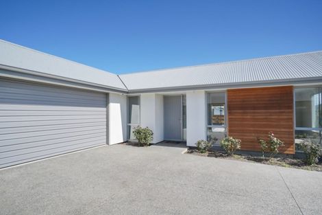 Photo of property in 46 Te Rito Street, Marshland, Christchurch, 8083