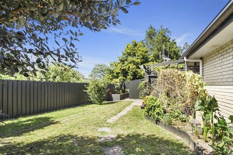 Photo of property in 19 Goodall Street, Dinsdale, Hamilton, 3204