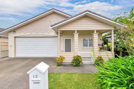 Photo of property in 12 Mulvaney Crescent, Henderson, Auckland, 0612