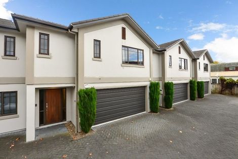 Photo of property in 42b Willoughby Street, Whitiora, Hamilton, 3200