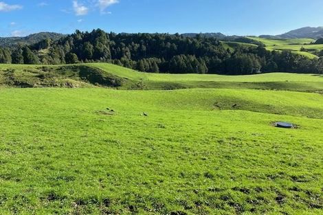 Photo of property in 755 Limeworks Loop Road, Karamu, Hamilton, 3285