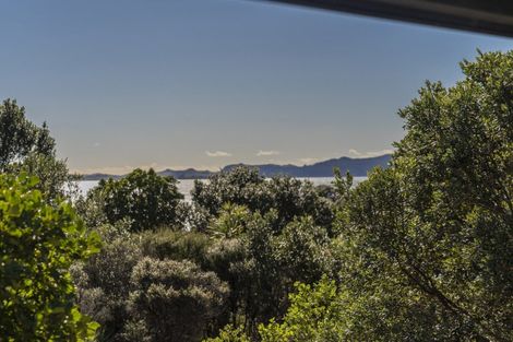 Photo of property in 36 Otama Beach Road, Opito Bay, Whitianga, 3592