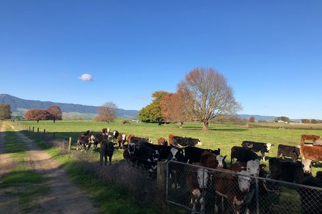 Photo of property in 34 Taihoa Road North, Matamata, 3473