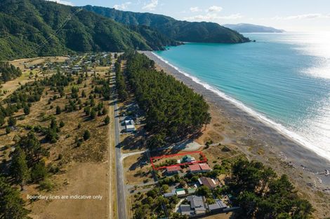 Photo of property in 248 Rarangi Beach Road, Rarangi, Blenheim, 7273