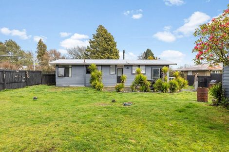 Photo of property in 187 Papanui Street, Tokoroa, 3420