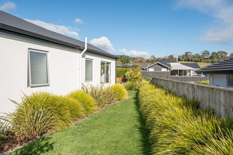 Photo of property in 3 Belvedere Drive, Richmond, 7020